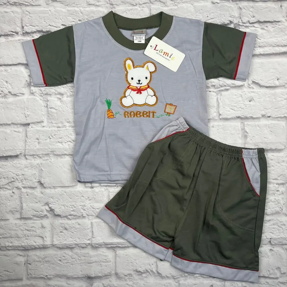 Tee and Shorts NWT 2pc set 18mo